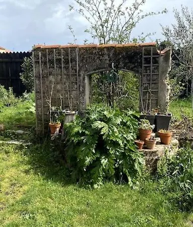 Maison De Charme Bord De Loire -15mn Des Plages Holiday home